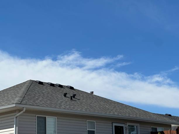 Best Gutter Installation and Repair  in Elizabethville, PA